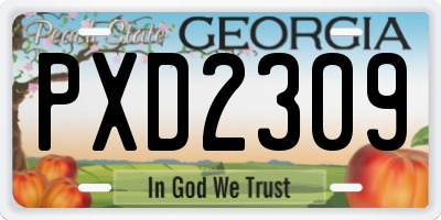 GA license plate PXD2309