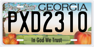 GA license plate PXD2310