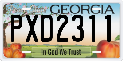 GA license plate PXD2311