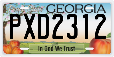 GA license plate PXD2312