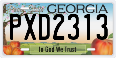 GA license plate PXD2313