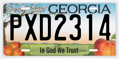 GA license plate PXD2314