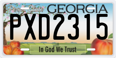 GA license plate PXD2315