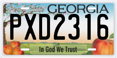 GA license plate PXD2316