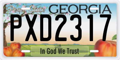 GA license plate PXD2317