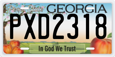 GA license plate PXD2318