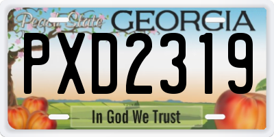 GA license plate PXD2319