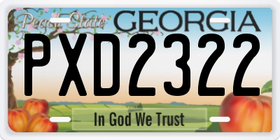 GA license plate PXD2322