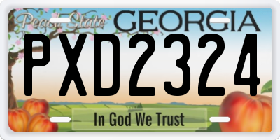 GA license plate PXD2324