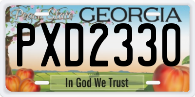 GA license plate PXD2330