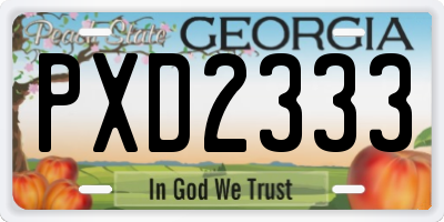 GA license plate PXD2333
