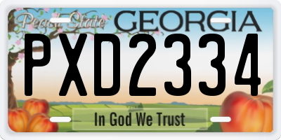 GA license plate PXD2334