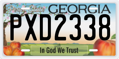 GA license plate PXD2338