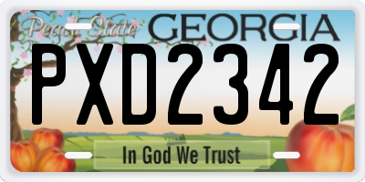 GA license plate PXD2342