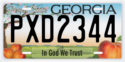 GA license plate PXD2344