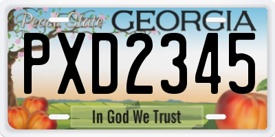 GA license plate PXD2345
