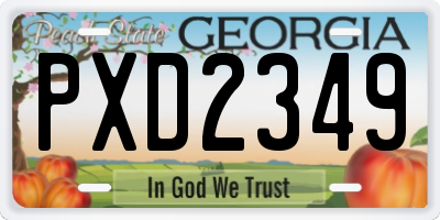 GA license plate PXD2349