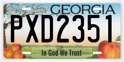 GA license plate PXD2351