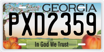 GA license plate PXD2359
