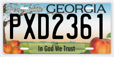 GA license plate PXD2361