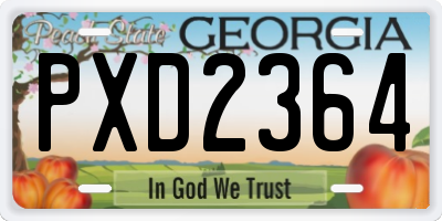 GA license plate PXD2364