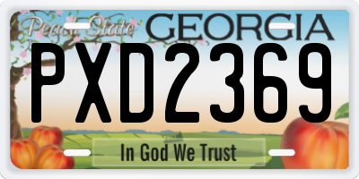 GA license plate PXD2369