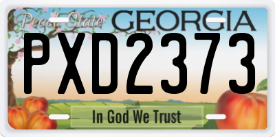 GA license plate PXD2373