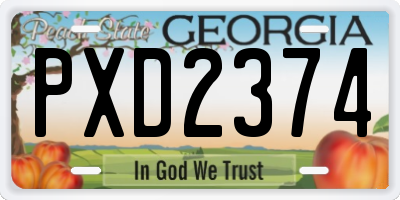 GA license plate PXD2374
