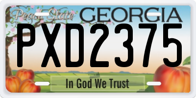 GA license plate PXD2375