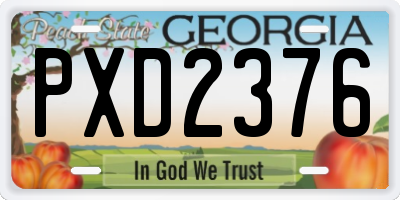 GA license plate PXD2376