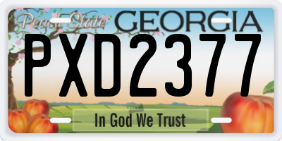 GA license plate PXD2377