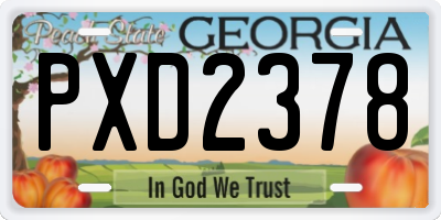 GA license plate PXD2378