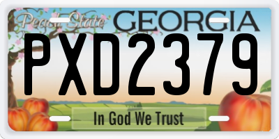 GA license plate PXD2379