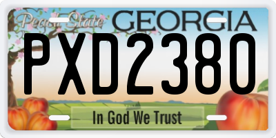 GA license plate PXD2380
