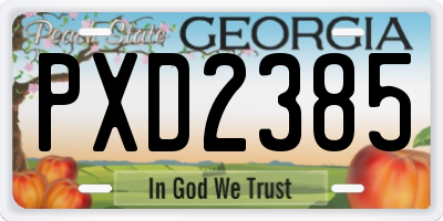 GA license plate PXD2385