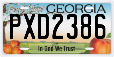 GA license plate PXD2386