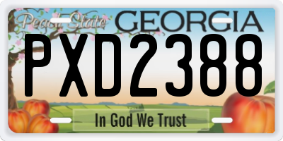 GA license plate PXD2388