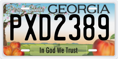 GA license plate PXD2389
