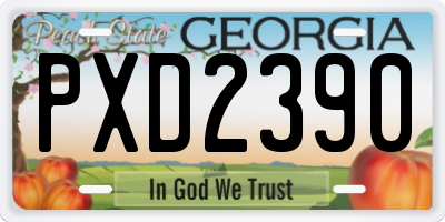 GA license plate PXD2390
