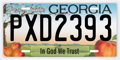 GA license plate PXD2393