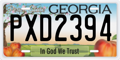 GA license plate PXD2394