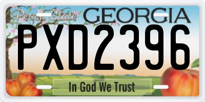 GA license plate PXD2396