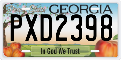 GA license plate PXD2398