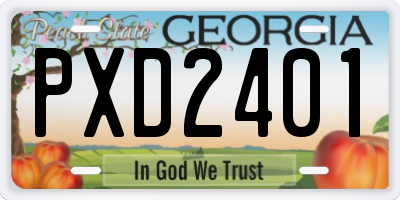 GA license plate PXD2401