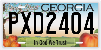 GA license plate PXD2404