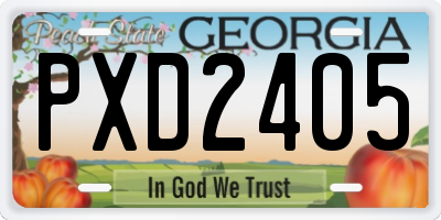 GA license plate PXD2405