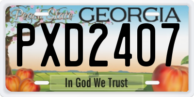 GA license plate PXD2407