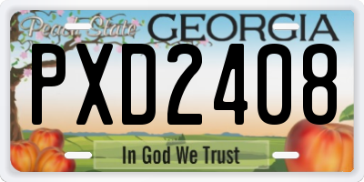 GA license plate PXD2408