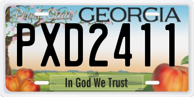 GA license plate PXD2411