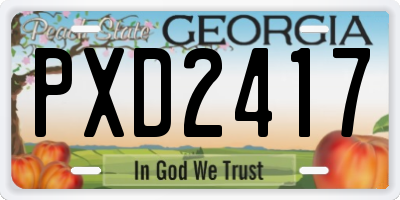 GA license plate PXD2417